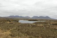 Cjp_2017-04-06_133438.jpg