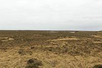 Cjp_2017-04-06_133518.jpg