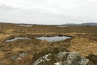 Cjp_2017-04-06_133524.jpg