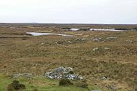 Cjp_2017-04-06_134030.jpg