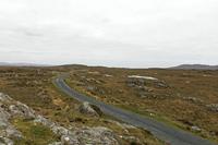 Cjp_2017-04-06_134058.jpg
