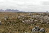 Cjp_2017-04-06_134204.jpg