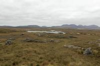 Cjp_2017-04-06_134208.jpg