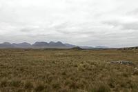 Cjp_2017-04-06_134702.jpg