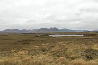 Cjp_2017-04-06_134840.jpg