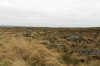 Cjp_2017-04-06_135016.jpg