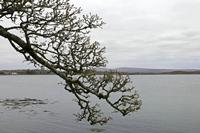 Cjp_2017-04-06_141856.jpg