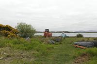 Cjp_2017-04-06_142314.jpg