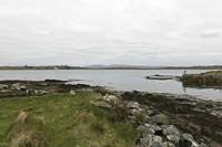 Cjp_2017-04-06_142426.jpg