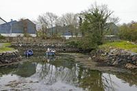 Cjp_2017-04-06_142436.jpg