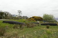 Cjp_2017-04-06_142456.jpg