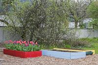 Cjp_2017-04-06_142600.jpg