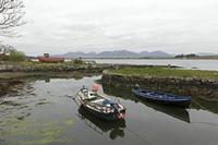 Cjp_2017-04-06_142626.jpg