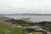 Cjp_2017-04-06_142918.jpg