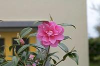 Cjp_2017-04-06_143548.jpg