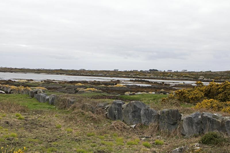 Cjp_2017-04-06_160326.jpg