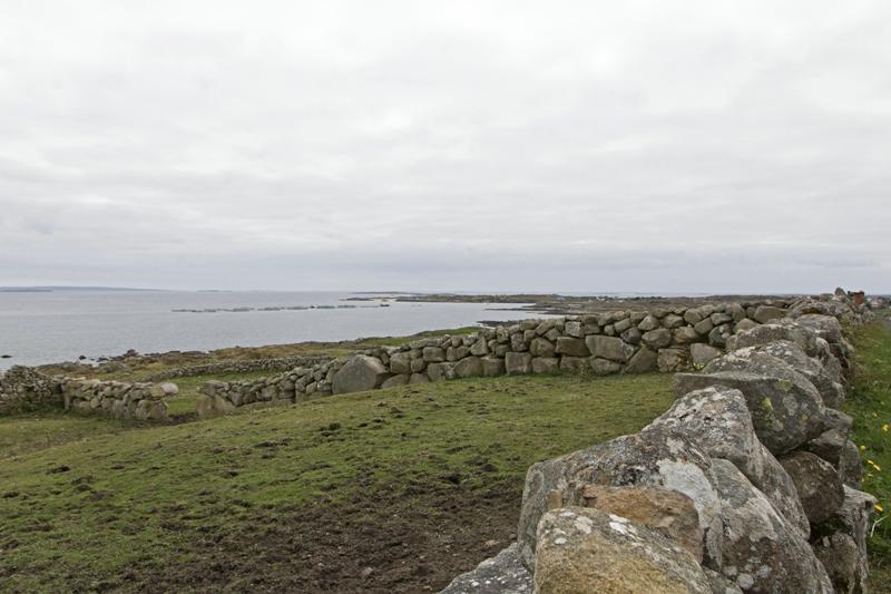 Cjp_2017-04-06_161108.jpg