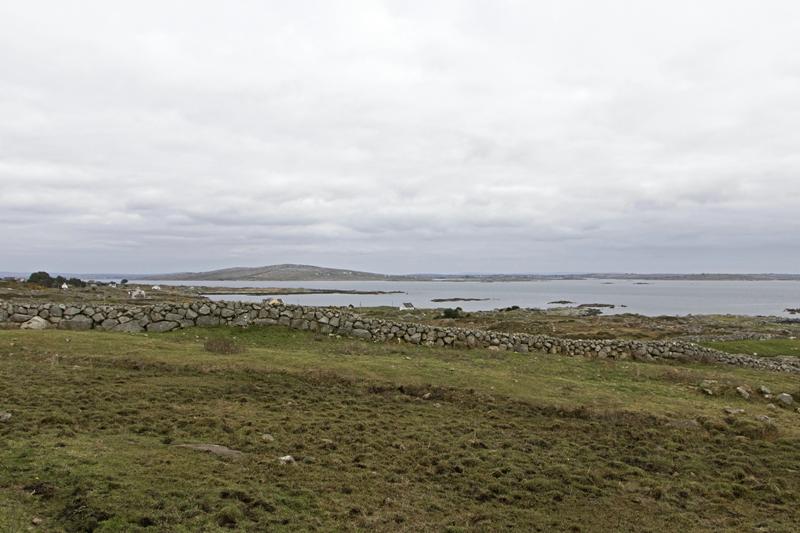 Cjp_2017-04-06_161122.jpg
