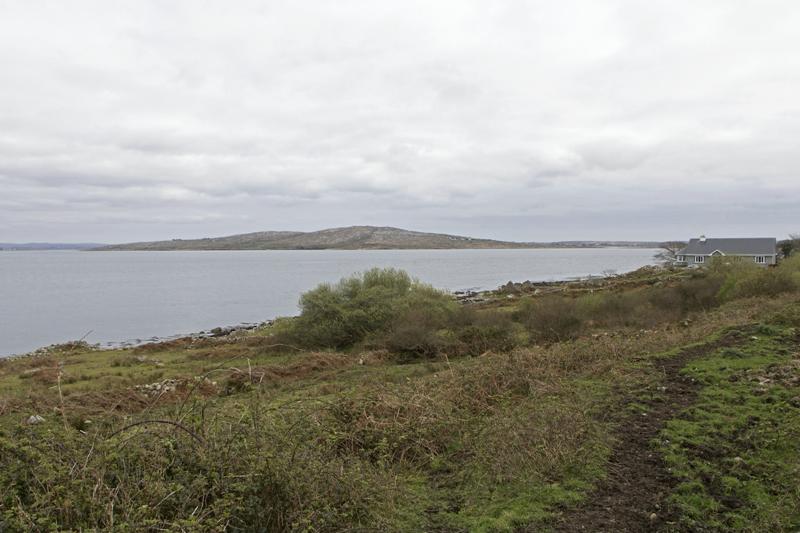 Cjp_2017-04-06_161448.jpg