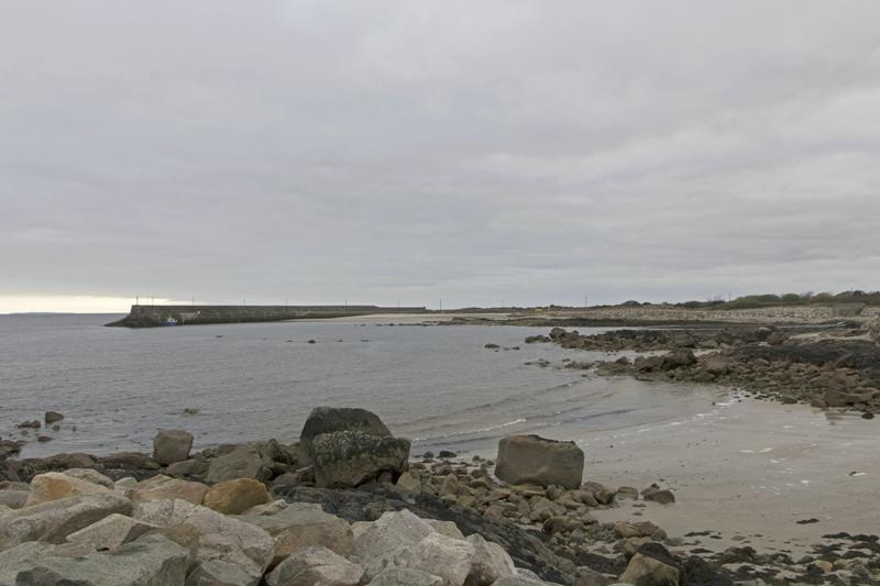 Cjp_2017-04-06_172148.jpg