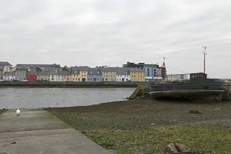Cjp_2017-04-07_065106.jpg