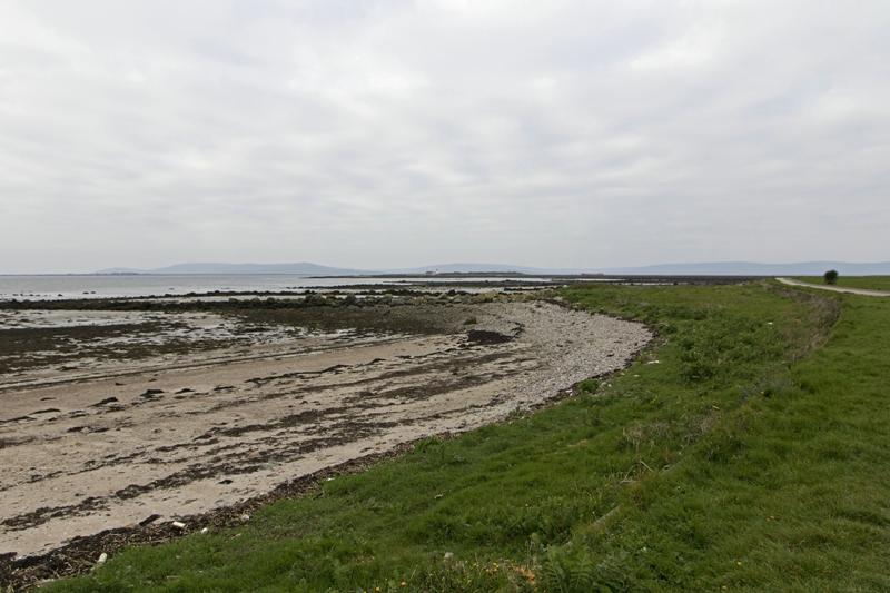 Cjp_2017-04-07_065616.jpg