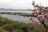 Cjp_2017-04-06_145126.jpg