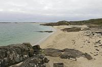 Cjp_2017-04-06_150956.jpg