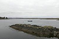 Cjp_2017-04-06_153534.jpg