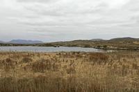 Cjp_2017-04-06_155450.jpg