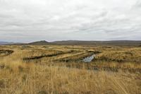 Cjp_2017-04-06_155650.jpg