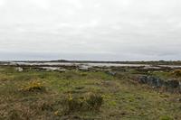 Cjp_2017-04-06_160324.jpg