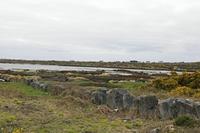 Cjp_2017-04-06_160326.jpg