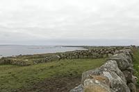 Cjp_2017-04-06_161108.jpg