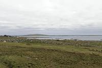 Cjp_2017-04-06_161122.jpg