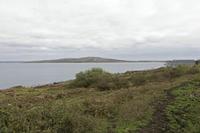 Cjp_2017-04-06_161448.jpg