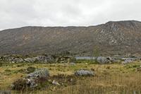 Cjp_2017-04-06_162242.jpg