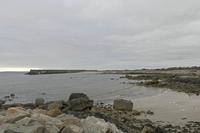 Cjp_2017-04-06_172148.jpg
