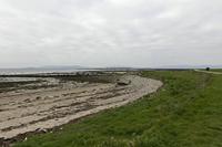 Cjp_2017-04-07_065616.jpg