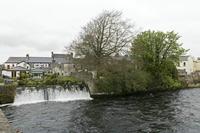 Cjp_2017-04-07_090822.jpg