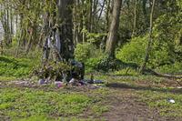 Cjp_2017-04-07_140442.jpg