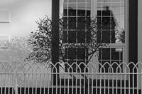 Cjp_2017-04-07_181134_NB.jpg