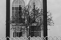 Cjp_2017-04-07_181206_NB.jpg