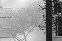 Cjp_2017-04-07_181412_NB.jpg