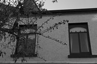 Cjp_2017-04-07_181510_NB.jpg