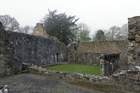 Cjp_2017-04-08_062212.jpg