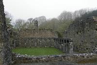Cjp_2017-04-08_062222.jpg