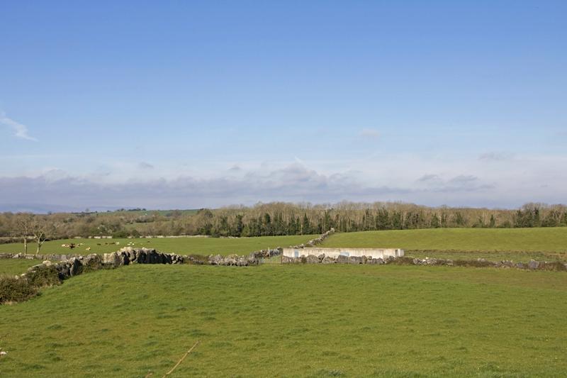 Cjp_2017-04-08_091212.jpg
