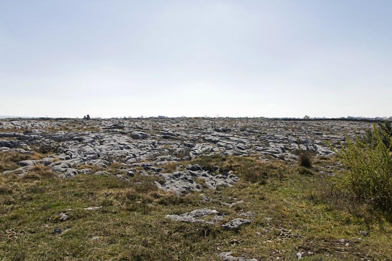 Cjp_2017-04-08_121210.jpg