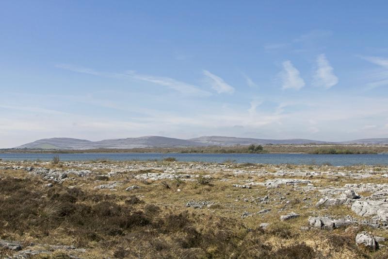 Cjp_2017-04-08_121226.jpg